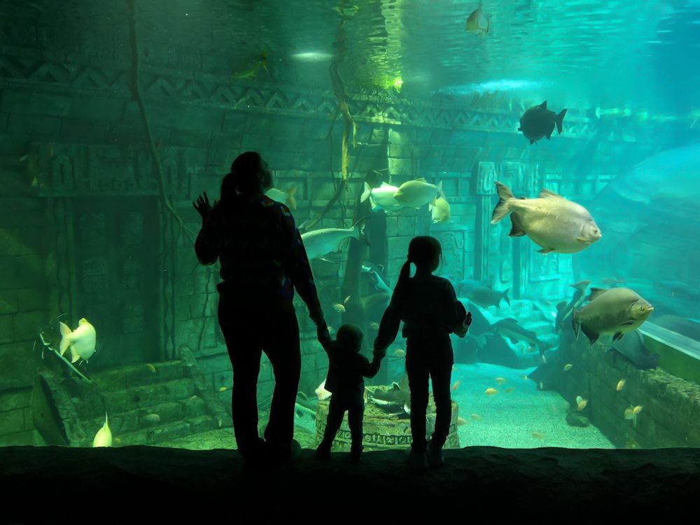 Photograph by Александр Кочергин