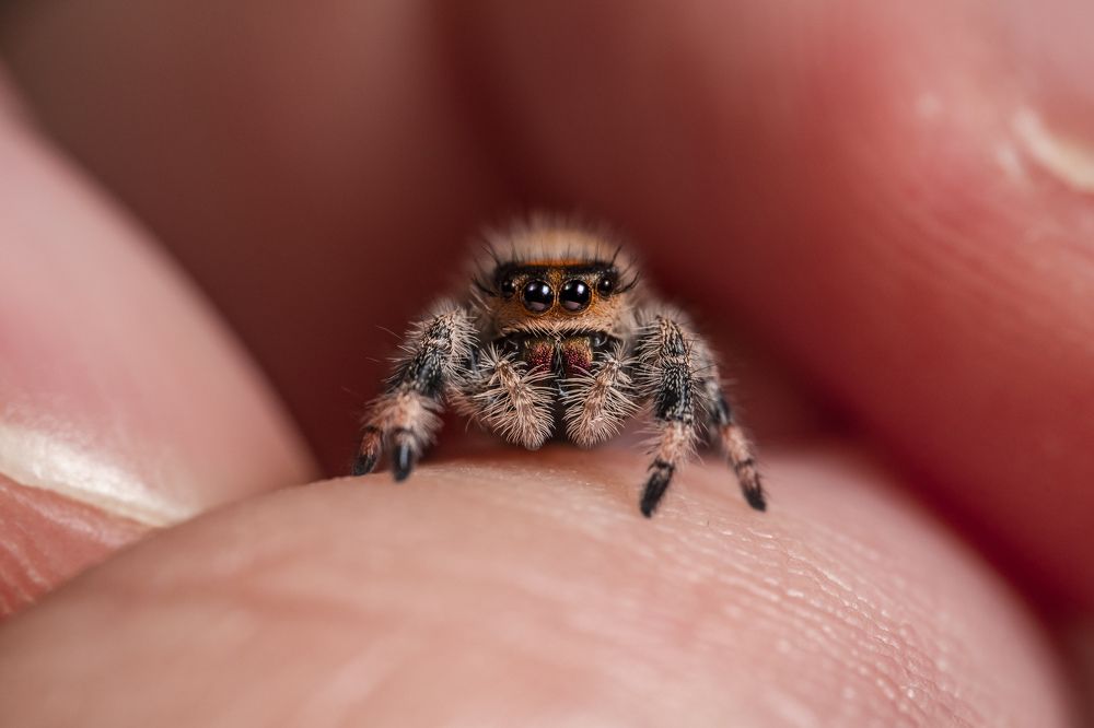 Photograph by Jimmy Chan