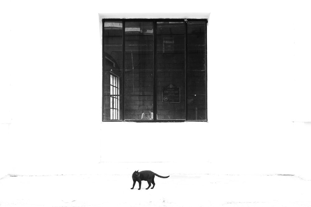 Photograph by Gabriel Jade Castillo