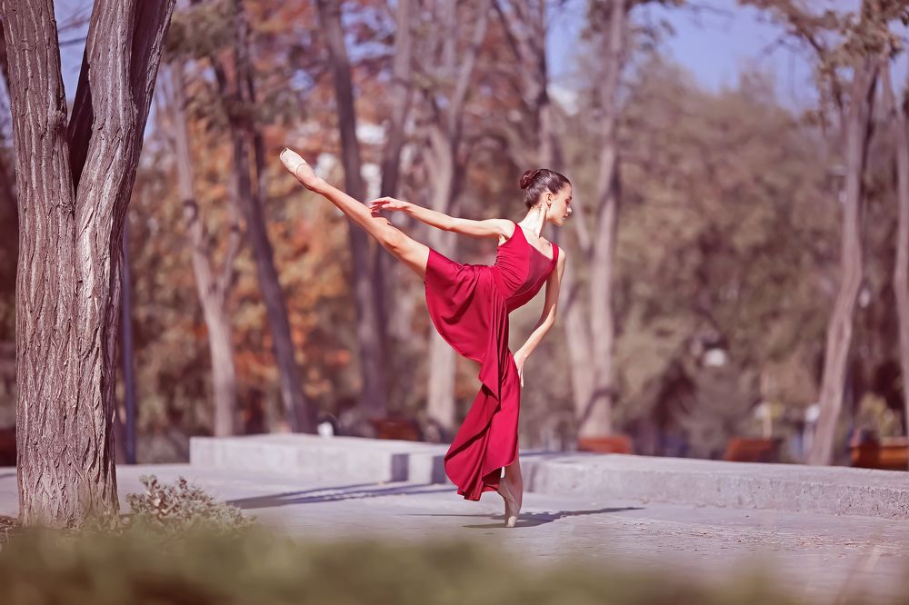 Photograph by Kors Larissa