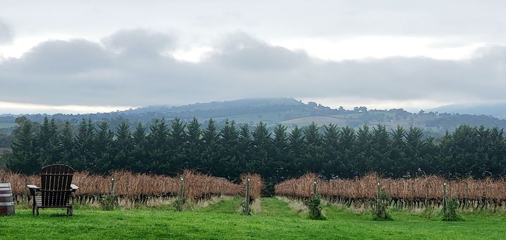 Yarra Valley Wine Tour June 2023
