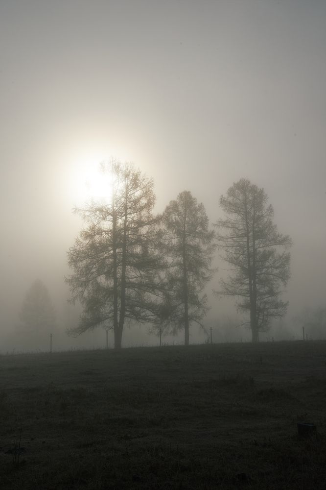 Photograph by Ирина Секачева