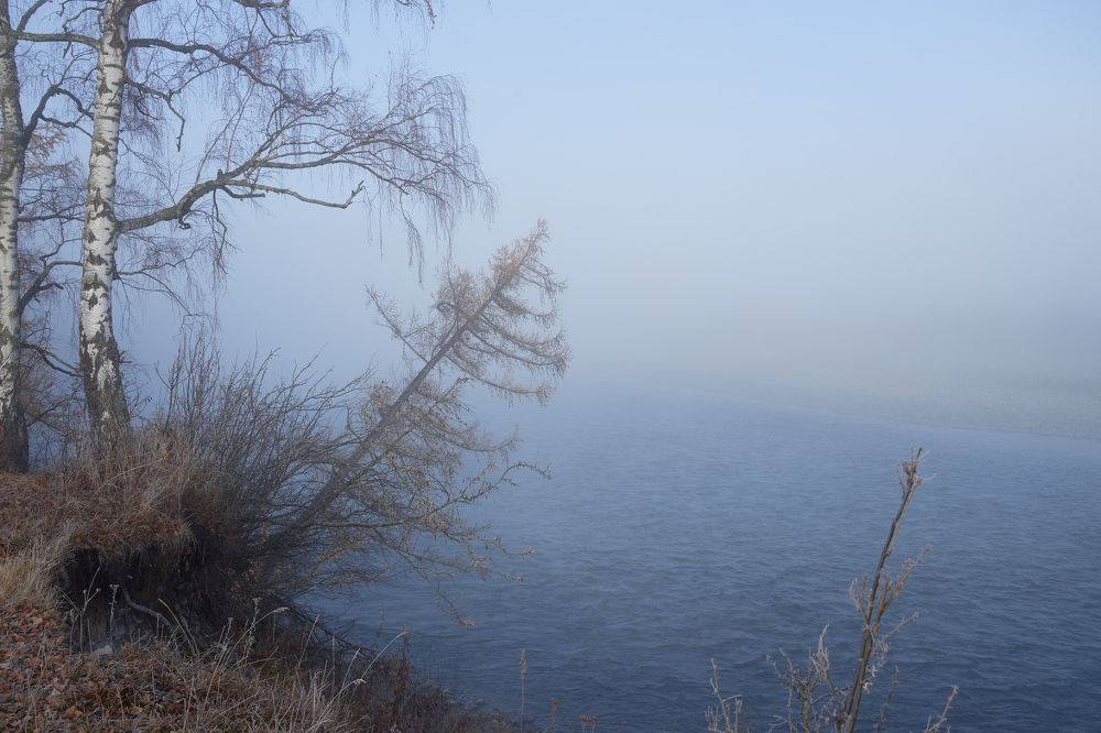 Photograph by Ирина Секачева