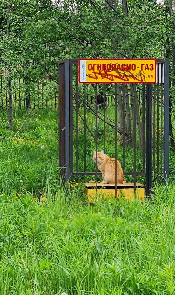 Photograph by Elena Smirnova