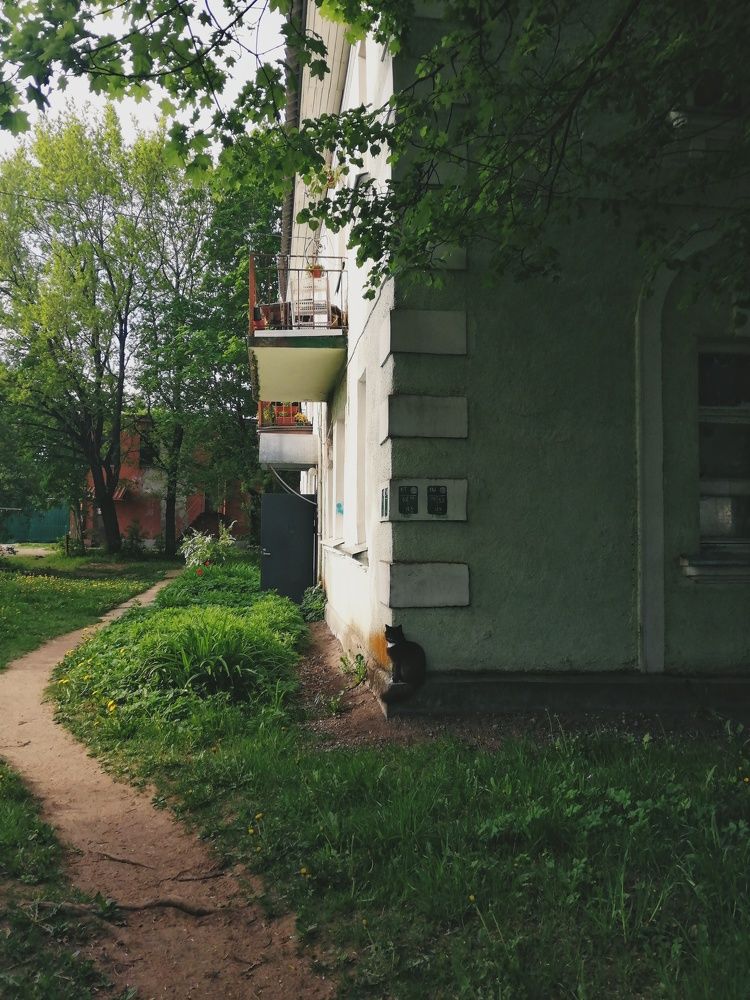 Photograph by Anna Dubinina