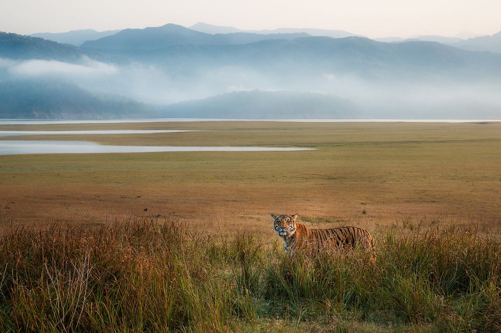 Photograph by Darshan Ganapathy