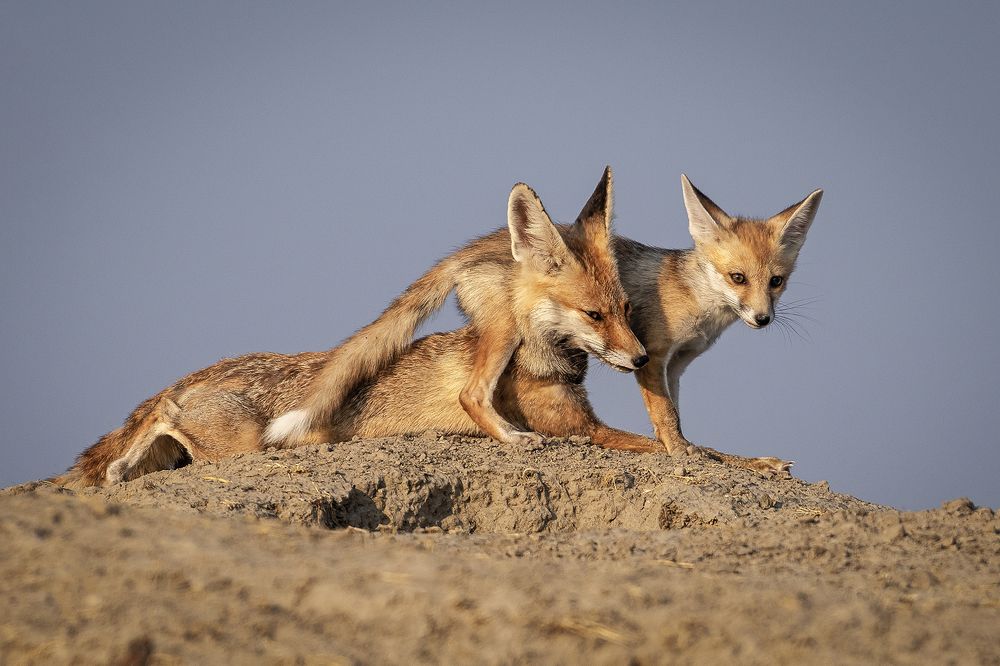 Photograph by Darshan Ganapathy