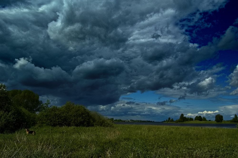 Photograph by Владимир Николаев