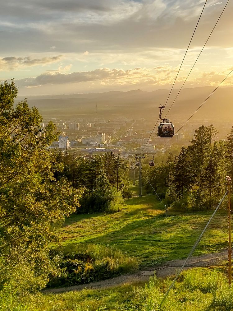 С высоты птичьего полета