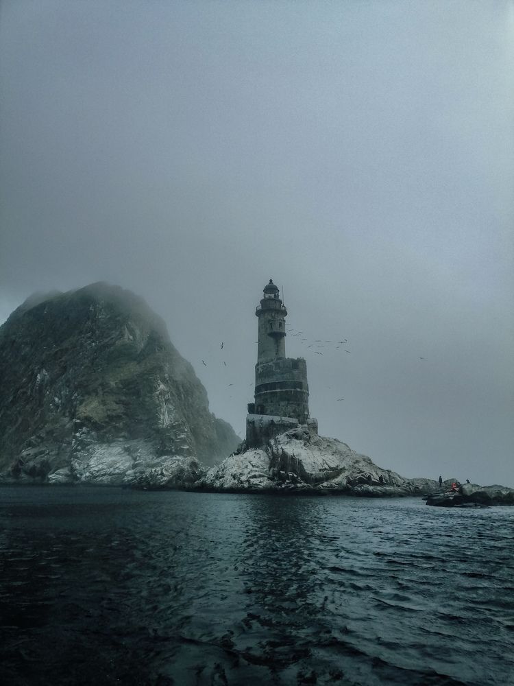 Photo #9188507