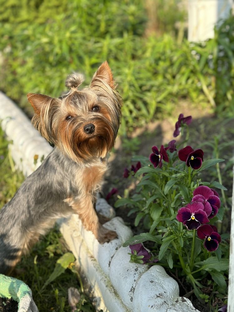 Photograph by Екатерина Раевская