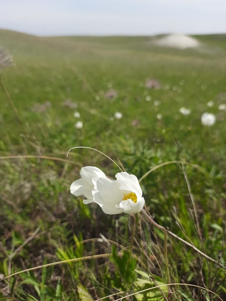 Photograph by Елена Богданова