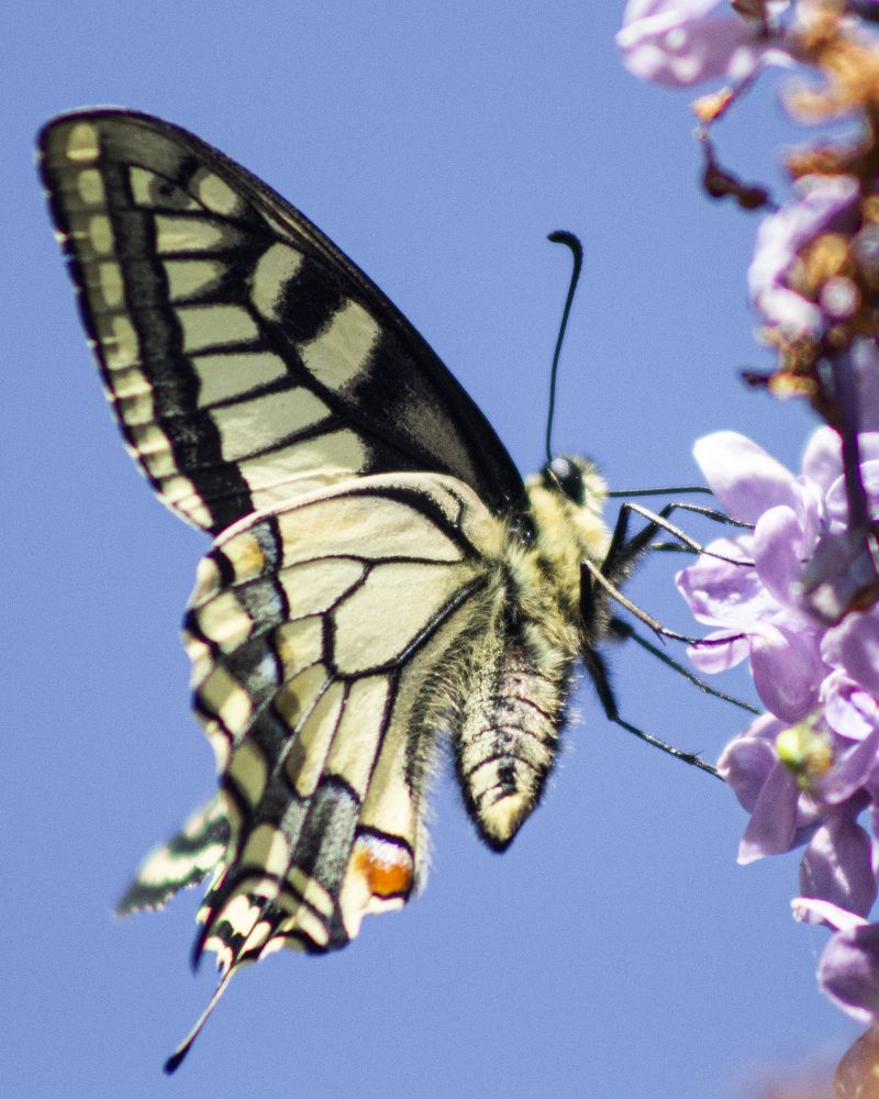 Photograph by Алексей Борисов