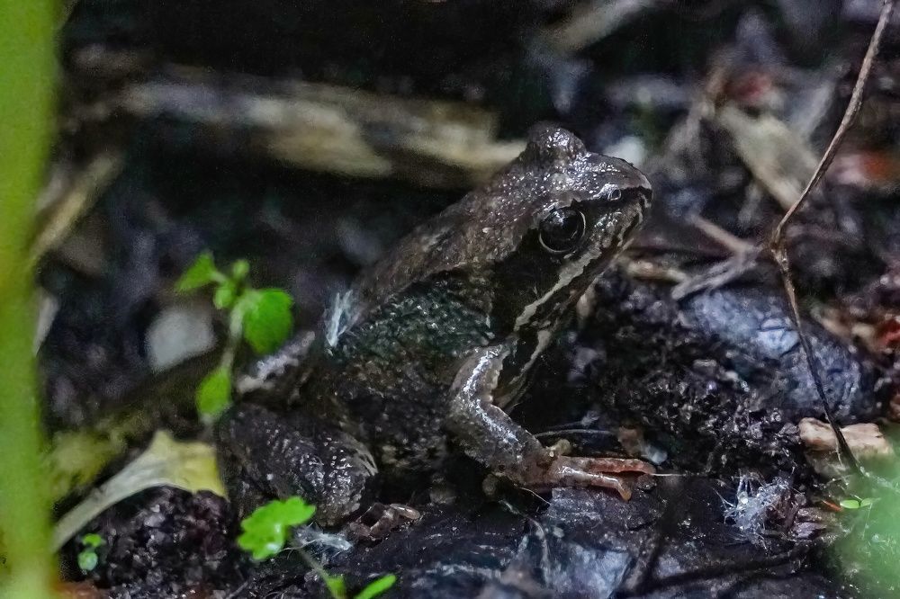 Photograph by Pavel Morozov