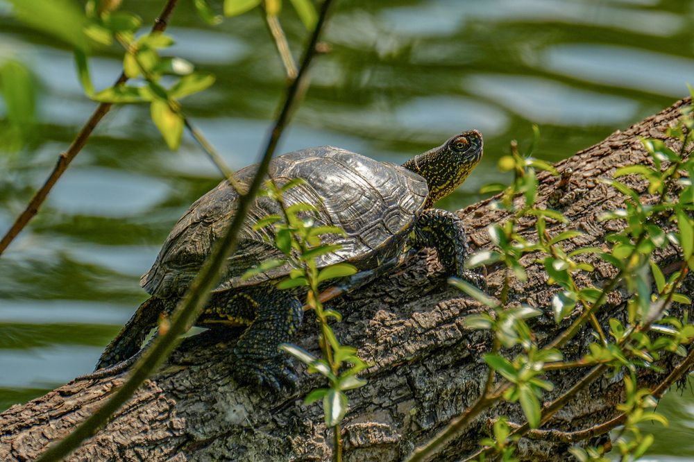 Photograph by Pavel Morozov