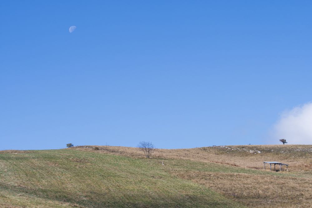 Photograph by Nikolay Dimitrov