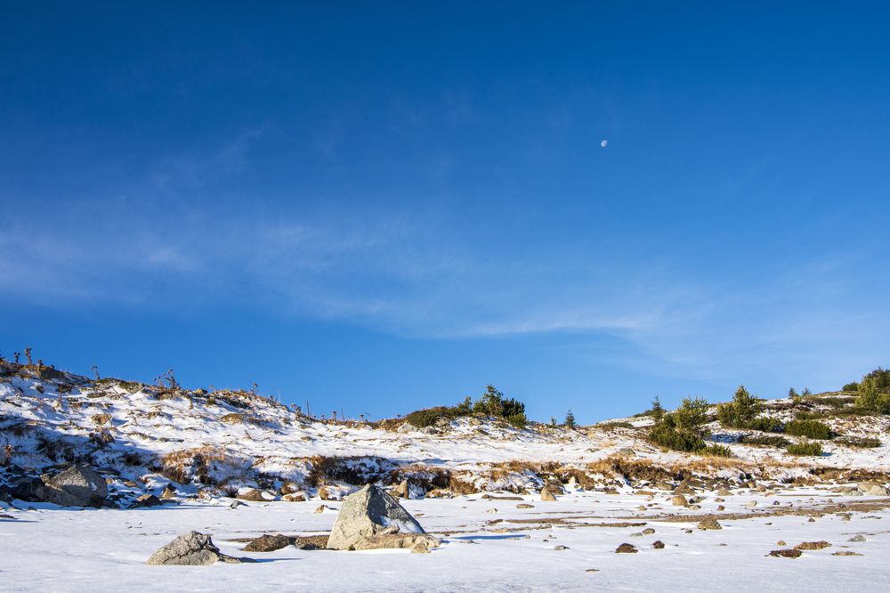 Photograph by Nikolay Dimitrov