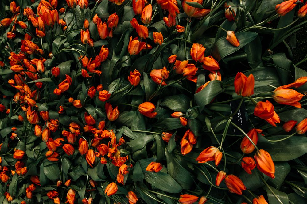 Photograph by Artem Mezhuev