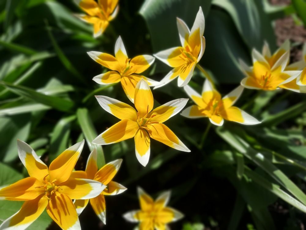 Photograph by Ирина Акулинина