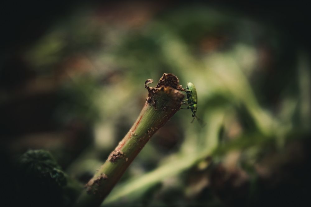 Photograph by Мария Рейтерн