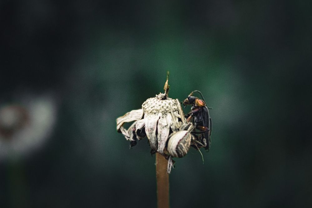 Photograph by Мария Рейтерн