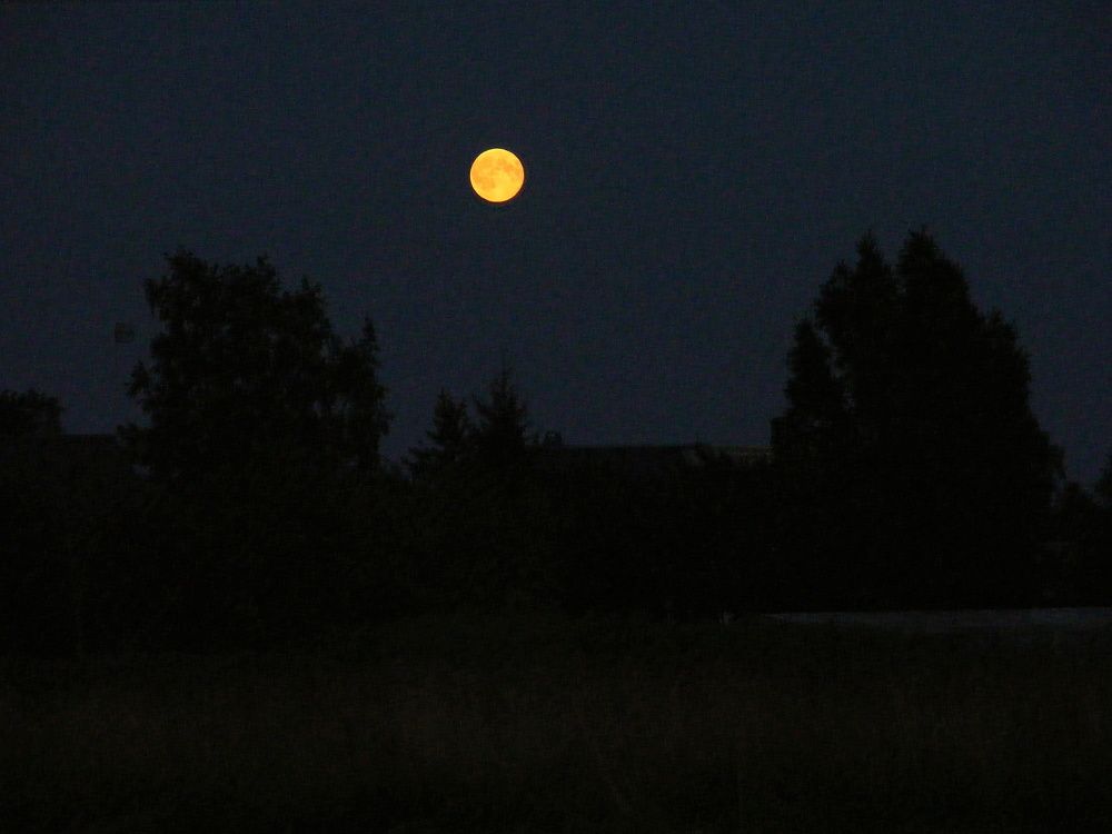 Photograph by Pjotr Alekseev