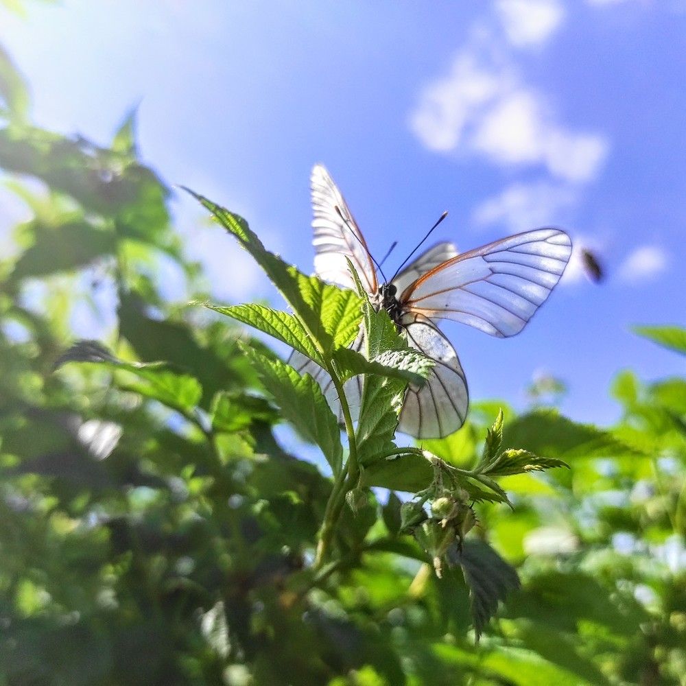 Photograph by Ирина Саттарова