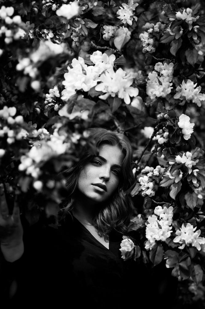 Назад в прошлое