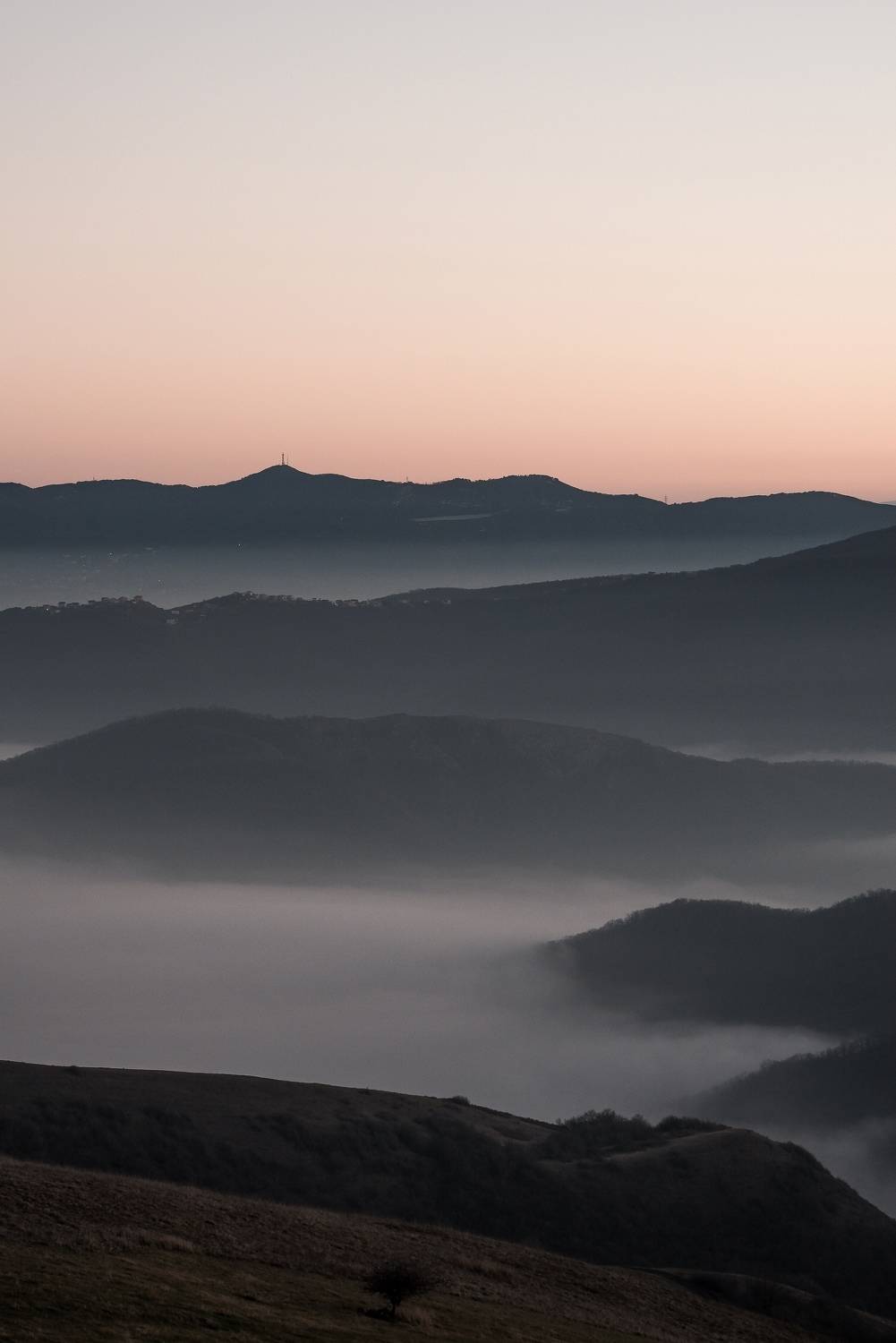 Фотография #9188861