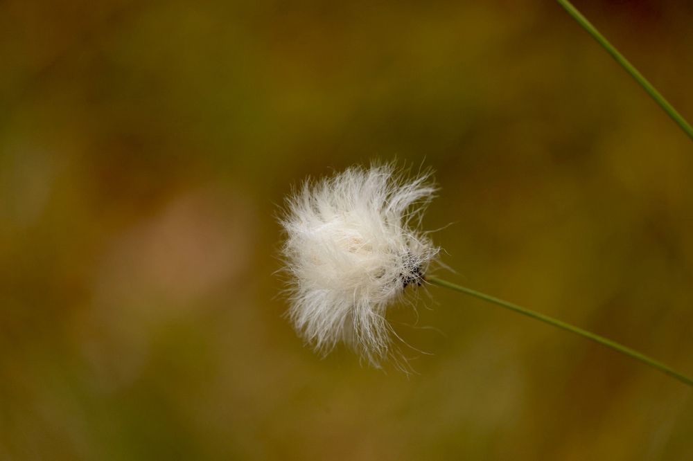 Photograph by Ольга Одаренко