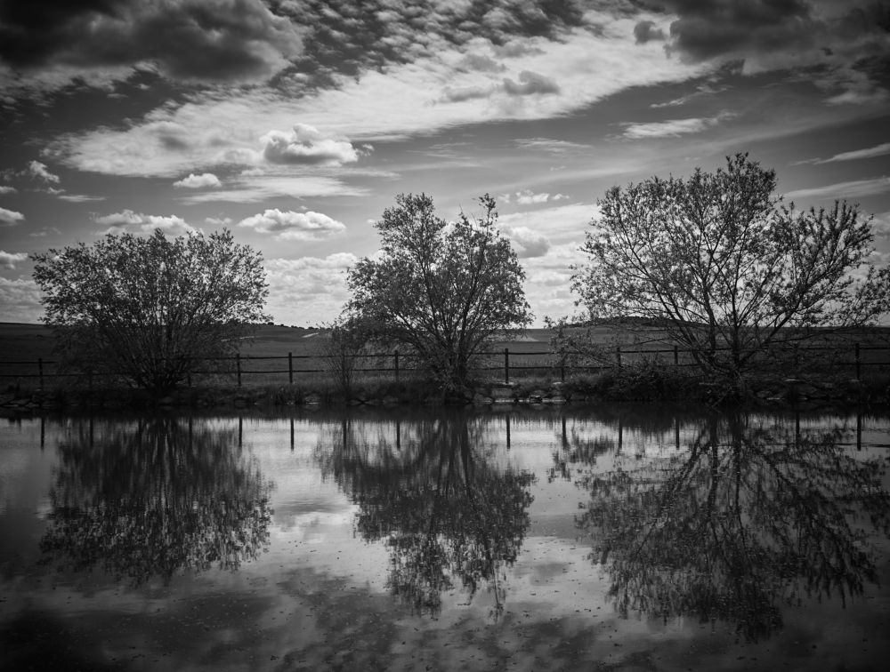 Photograph by Kike