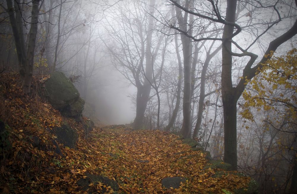 Photograph by Svetlana Rizzo