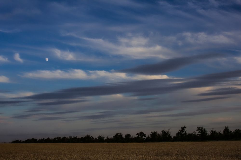 Photograph by Ирина Шибитова