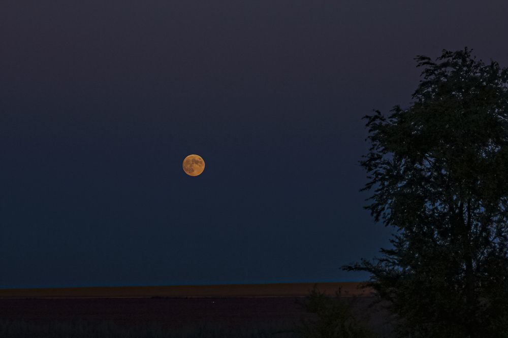 Photograph by Ирина Шибитова