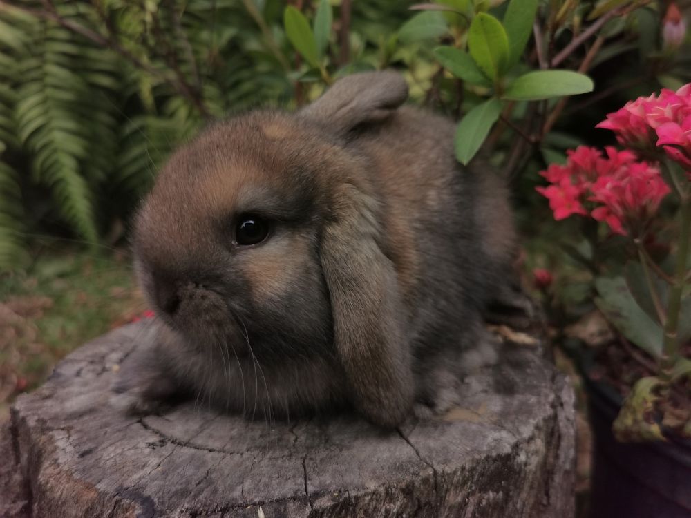 Photograph by Virginia Azocar