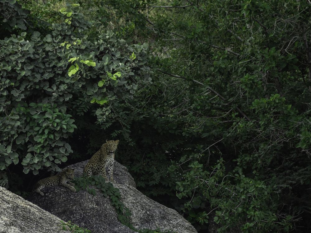 Photograph by Tanay Gupta