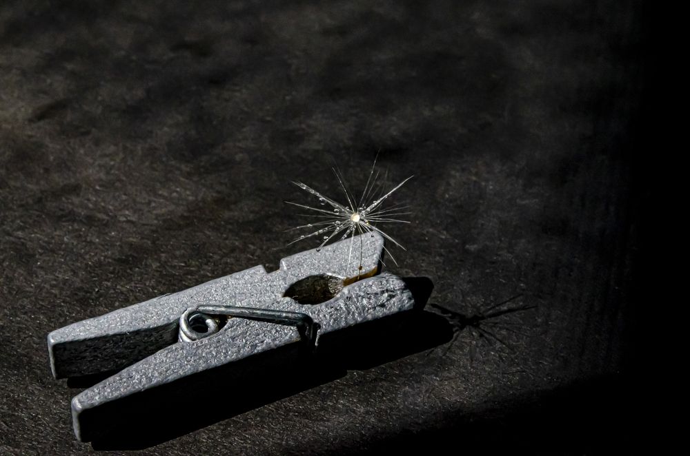 Photograph by Любовь Бусова