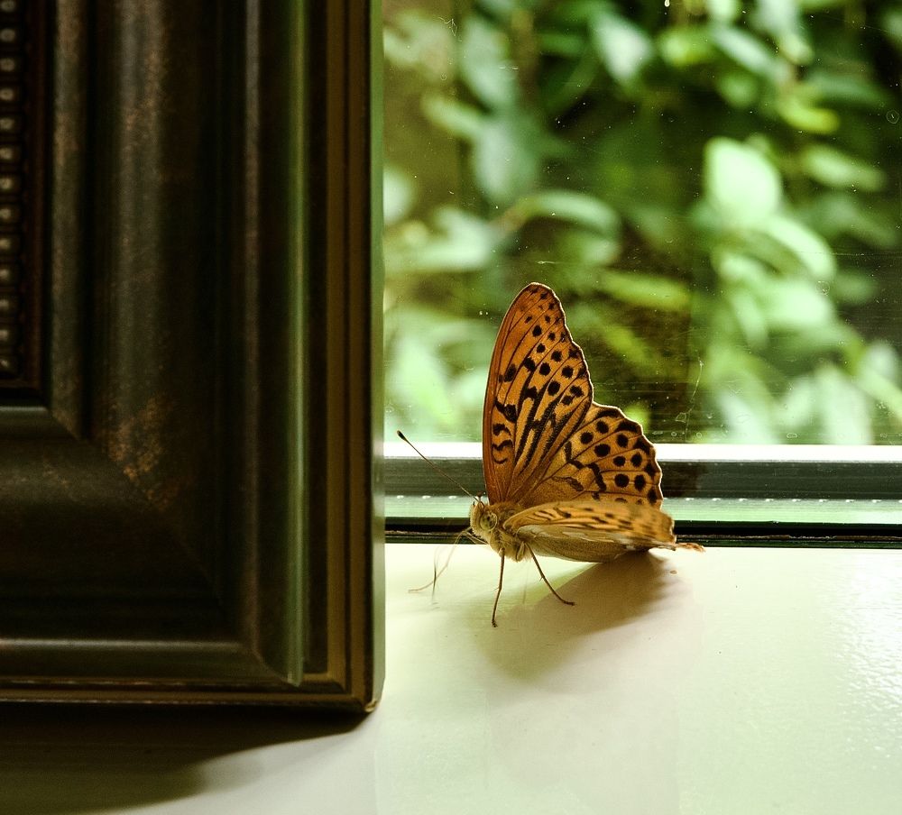 Photograph by Светлана Георкова