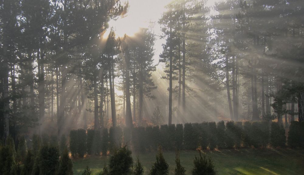 Photograph by Taтьяна Войлокова