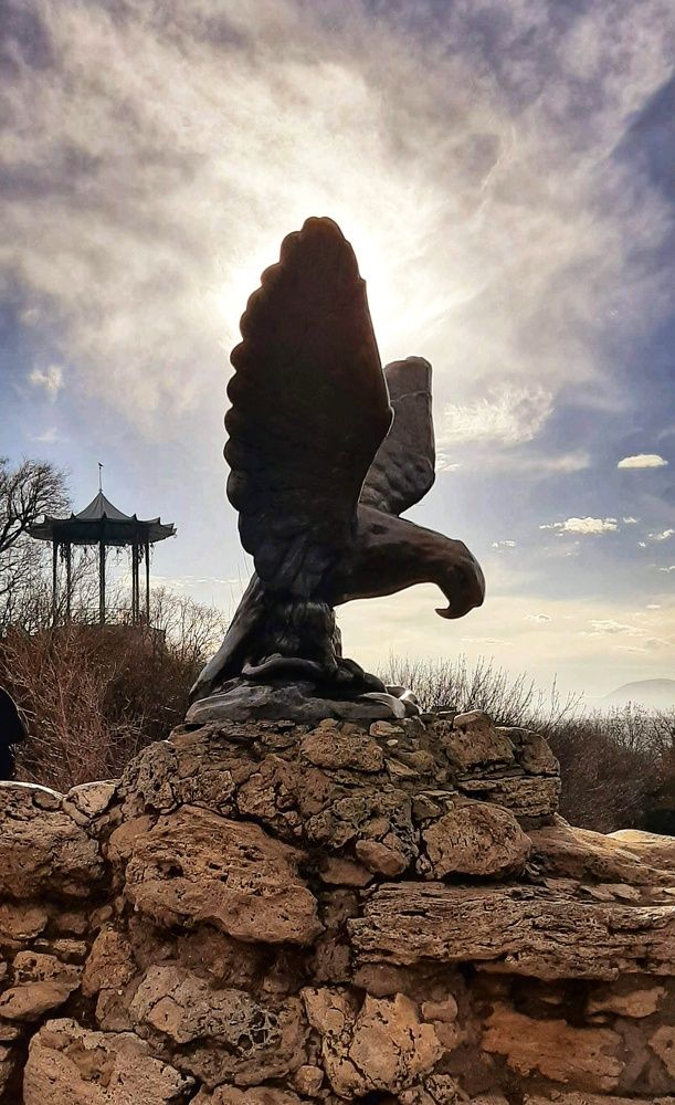 Photograph by Андрей Прокопенко