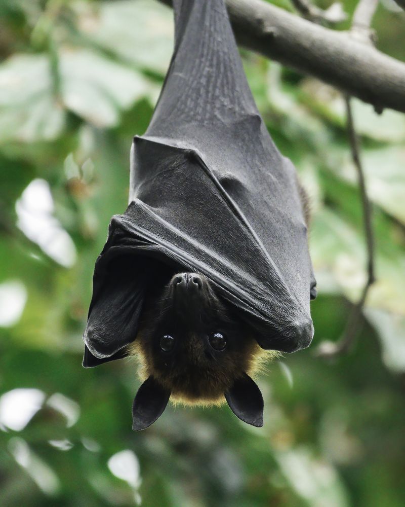 Photograph by Tanay Gupta