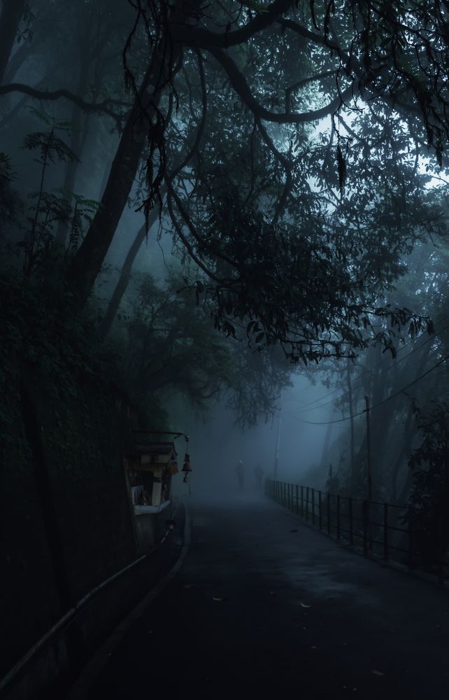 Photograph by ARANYA KAR