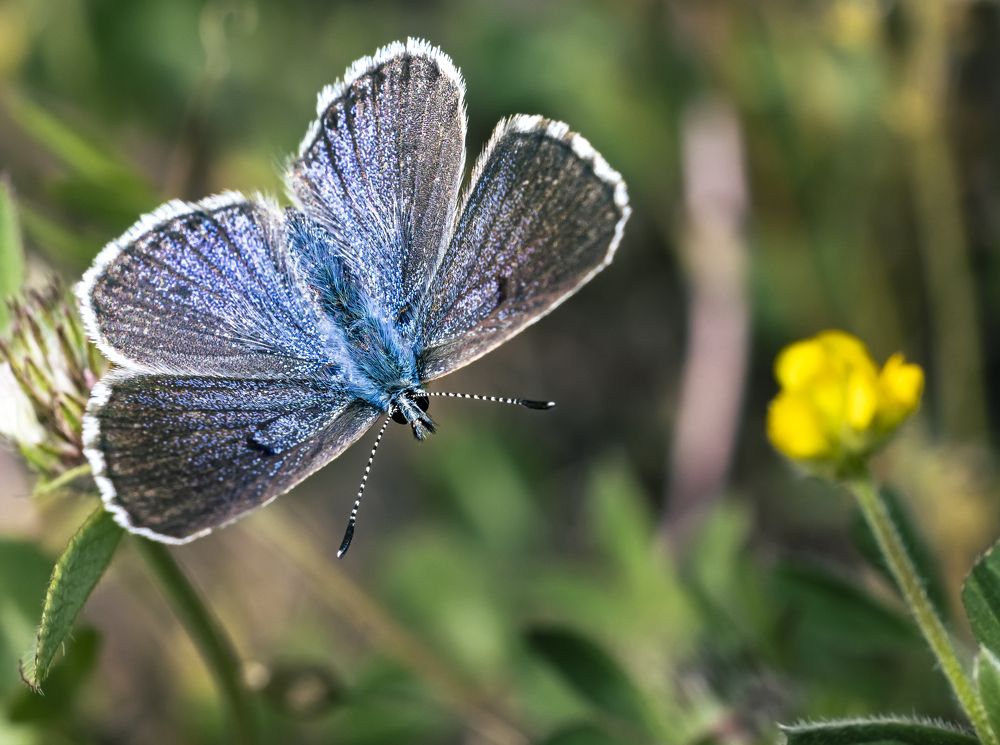 Photograph by Stamen Sotirov