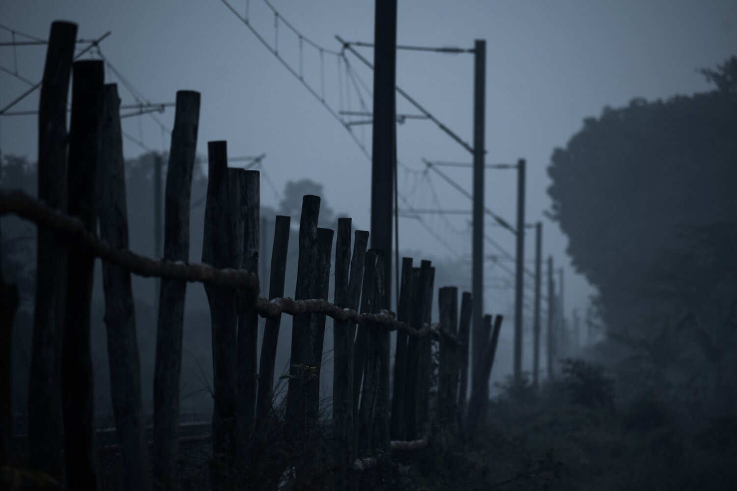 Photo #9189330