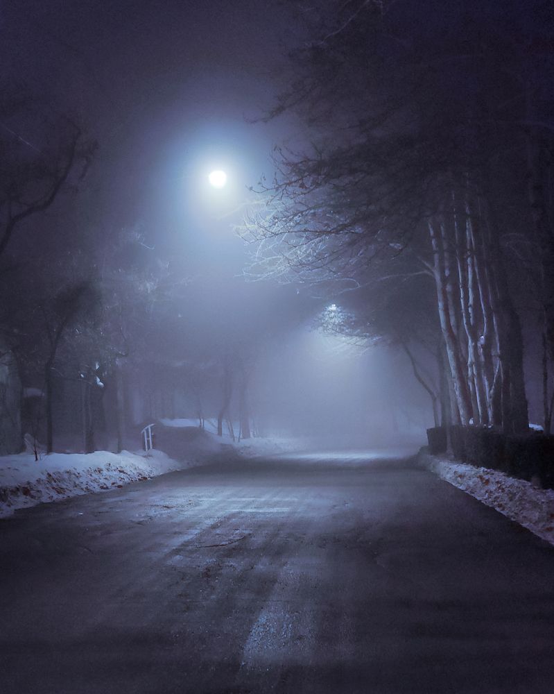 Photograph by Alireza Moghimi