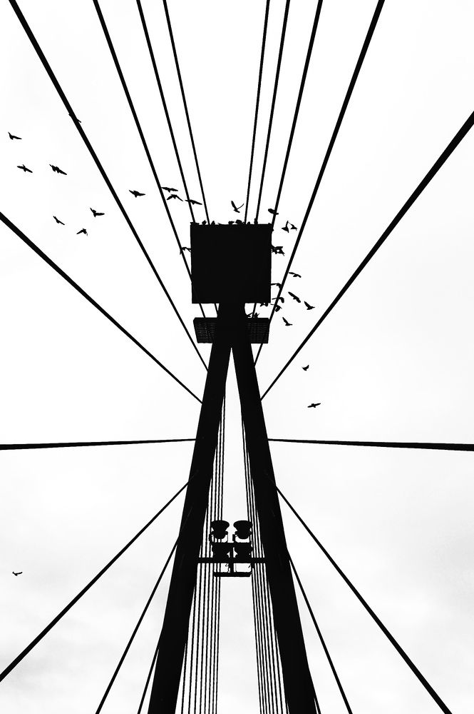 Photograph by Kateřina Mařáková