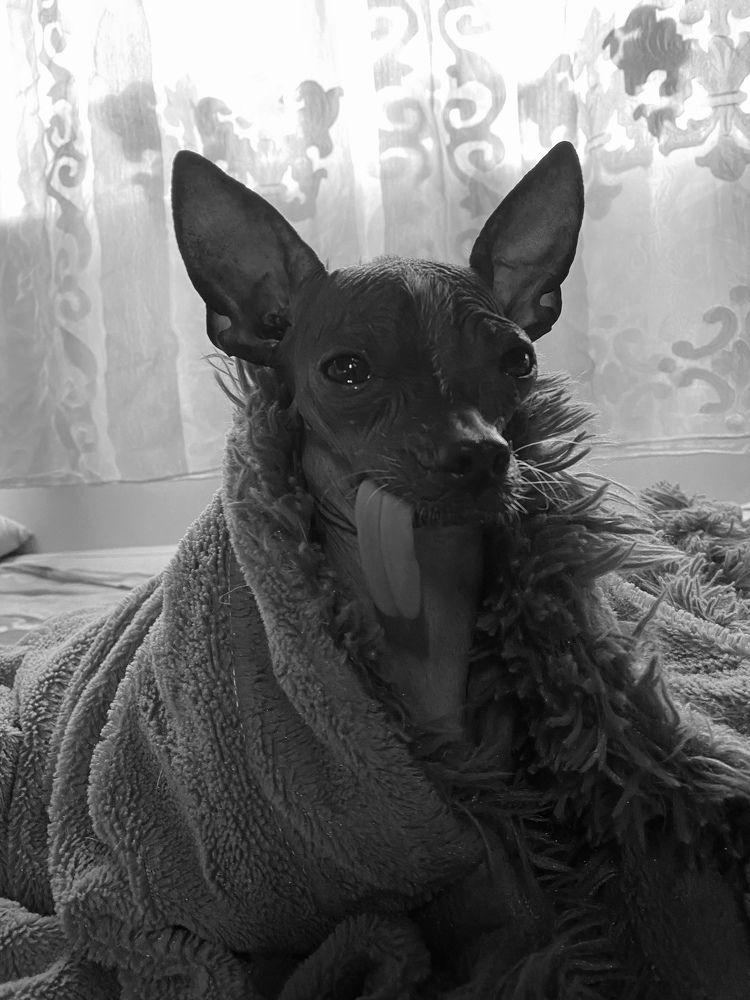 Photograph by Надежда