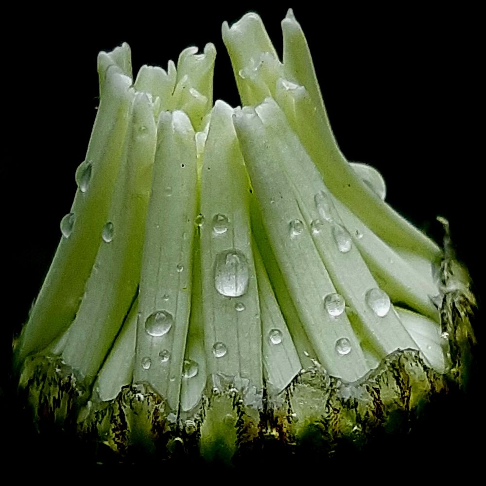 Photograph by Ольга Александрова