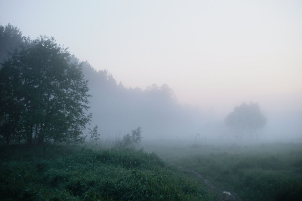 Photograph by Елена Маршавина