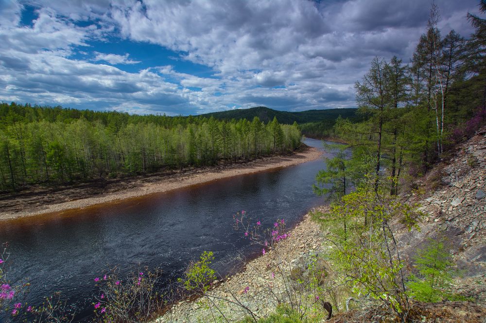 Вид на реку